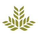 Northeast Georgia Medical Center logo